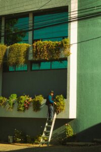 sustainability jobs in the UK